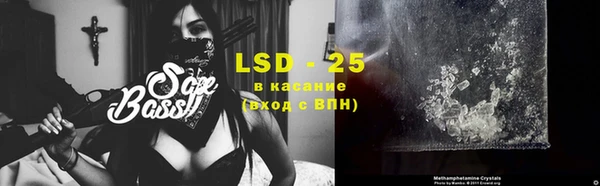 стафф Алзамай