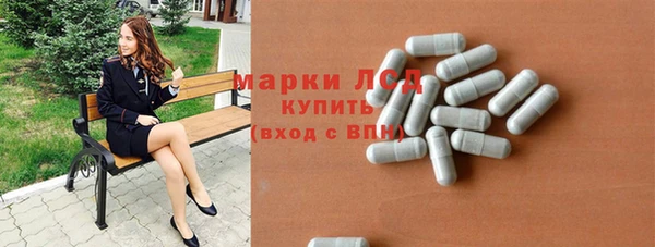 стафф Алзамай