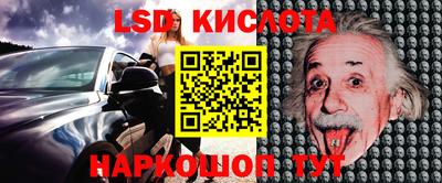 прущие грибы Кунгур
